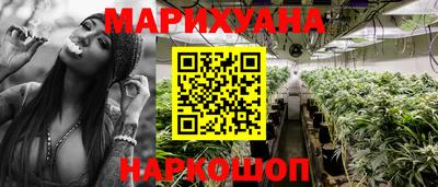 прущие крисы Можга