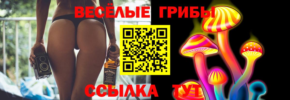 Псилоцибиновые грибы MAGIC MUSHROOMS  Вход с VPN  Владикавказ 
